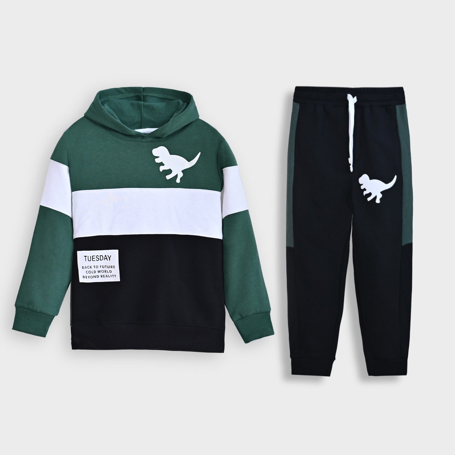 Premium Quality "Dino" Printed Fleece pull over Track Suit For Kids